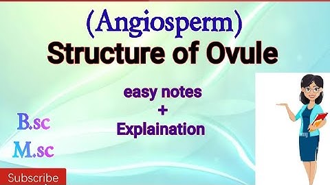 Ovule Structure|| Detail notes on Structure of Ovule in Angiosperm/Parts of Angiospermic Ovule