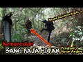 MUNCULNYA SANG RAJA HITAM DIATAS POHON! NYARIS KENA GIGIT DI KEPALA! INI BARU MONSTER!