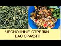 Успевайте! Пока не поздно! Чесночные стрелки ждут! Овощное рагу с кабачками и  чесночными стрелками!