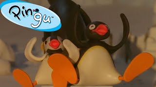 Pingu's Travels  | FisherPrice | Cartoons For Kids