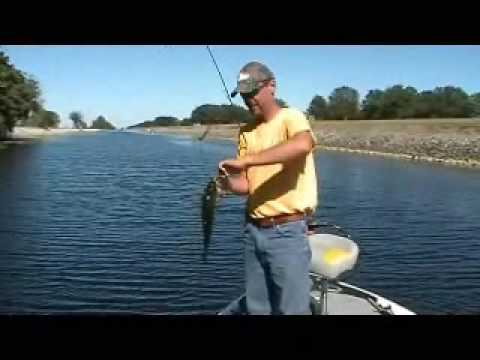 Bass Fishing on Lake Toho