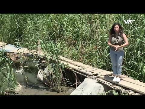 تلوث نهر الليطاني في لبنان يهدد السكان بجواره