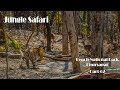 Jungle Safari- PENCH Part- 02
