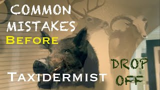 Common Mistakes Before Dropping Off at the Taxidermist! (Shoulder Mount) by Longshores Outdoors 70 views 2 months ago 4 minutes, 4 seconds