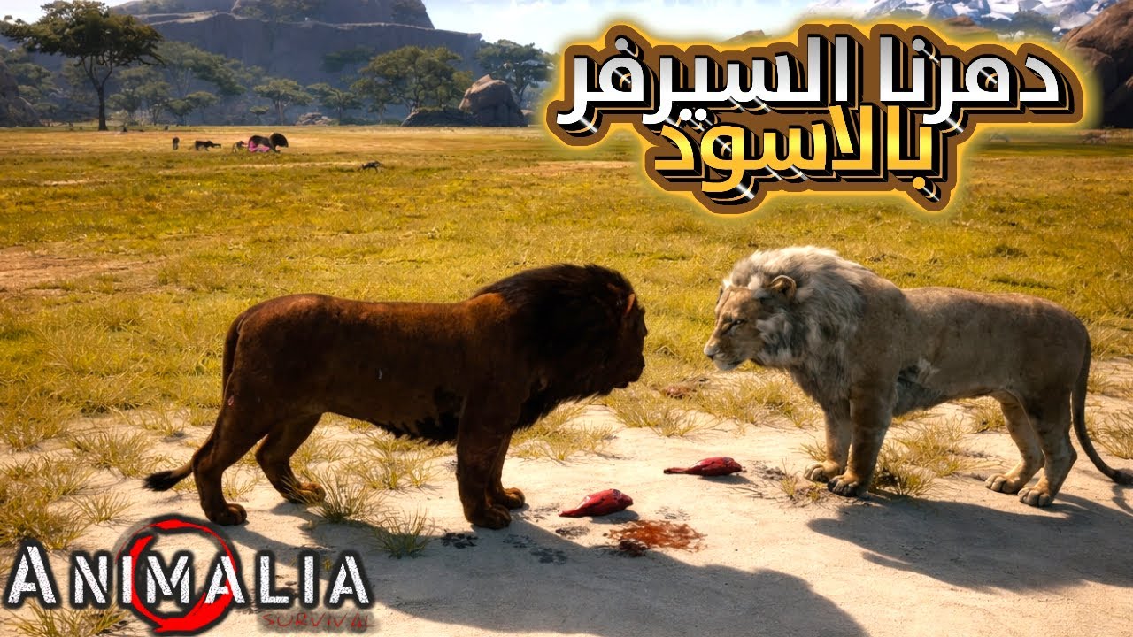 الأسد خرج عن السيطرة! 🔥 دمرنا السيرفر بالكامل | Animalia Survival