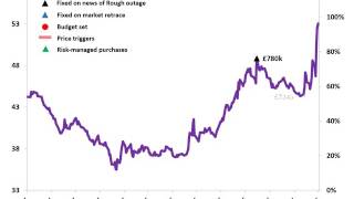 Flexible Energy Purchasing