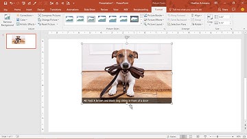 New PowerPoint Picture Feature - Automatic Alt Text