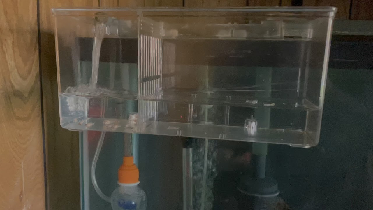 How to silence a Marina breeder box