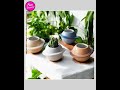 Planter Pot Flower Plant Garden Planet Galaxy