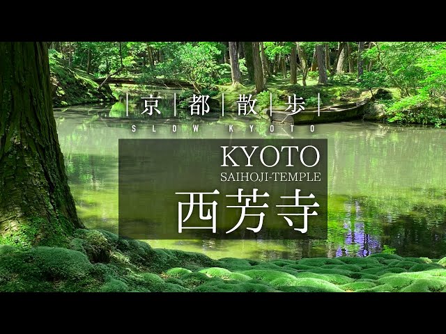 西芳寺苔庭 梅雨季節中的人間淨土i The Moss Garden At Saihoji Temple Kokedera Kyoto 旅路日和tabiji Biyori Japanwalker Taipeiwalker Walkerland