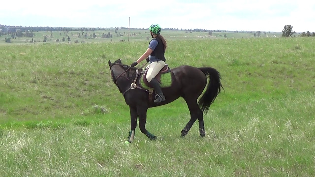 camera iphone 8 plus apk Arrowhead Spring Eventing Clinic 2014 #5