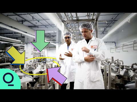 Dining at The World's Largest Synthetic Meat Factory