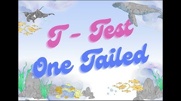 การทดสอบสมมติฐานด้วยเครื่องมือทางสถิติ (Chi Square,T-test,One way - Anova)