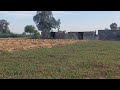 @ارض زراعية قرية الجلاء خطوات للصحراوي