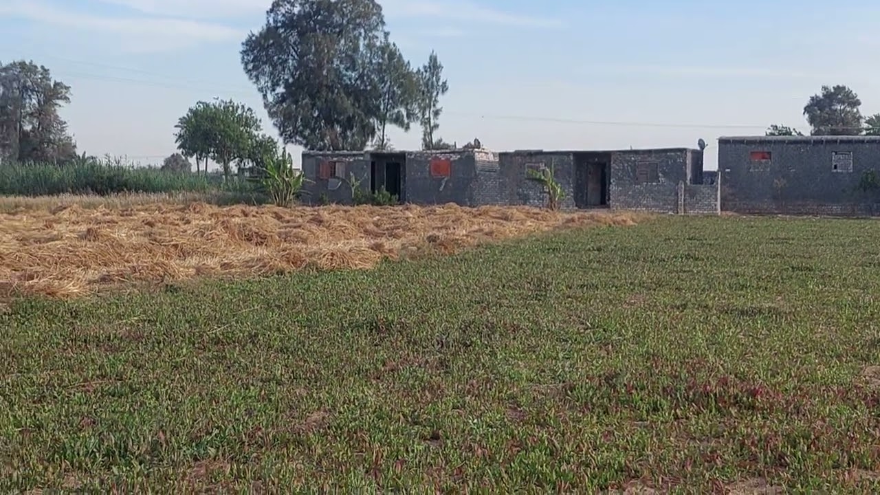 @ارض زراعية قرية الجلاء خطوات للصحراوي