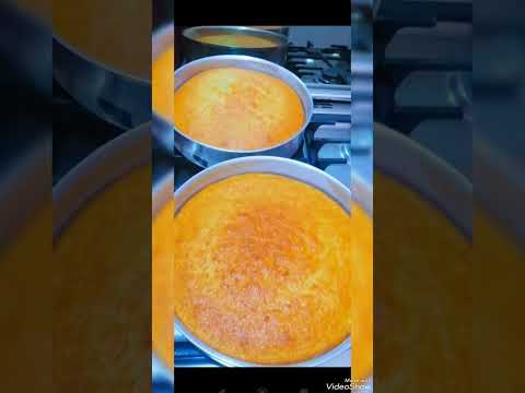 واقفة ديما
