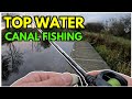 Surface Fishing for Pike 🐊 Forth & Clyde Canal 🎣