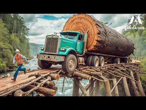 Most Dangerous Logging Truck Driving Skills | Fastest Chainsaw Tree Cutting! #13