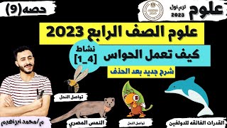 المفهوم الجديد علوم الصف الرابع 2023 | كيف تعمل الحواس | مستر محمد ابراهيم الترم الاول  | نشاط [1_4]