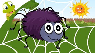 spider cartoon incy wincy lyrics nursery rhyme song animation