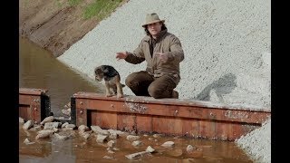 Waterschapsdag 2018 Ruim Baan Voor Vissen