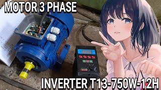 Inverter T13-750W-12H