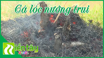 Nhớ cá lóc nướng trui ở miền Tây | Gợi nhớ miền Tây | Miền Tây THDT2