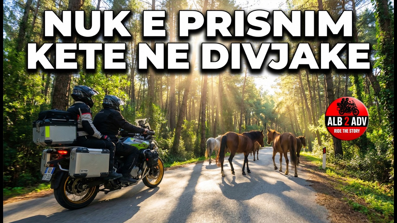 KUJT I PERKET KJO RRUGE? Surpriza qe gjetem ne pyllin e Divjakes me motor!