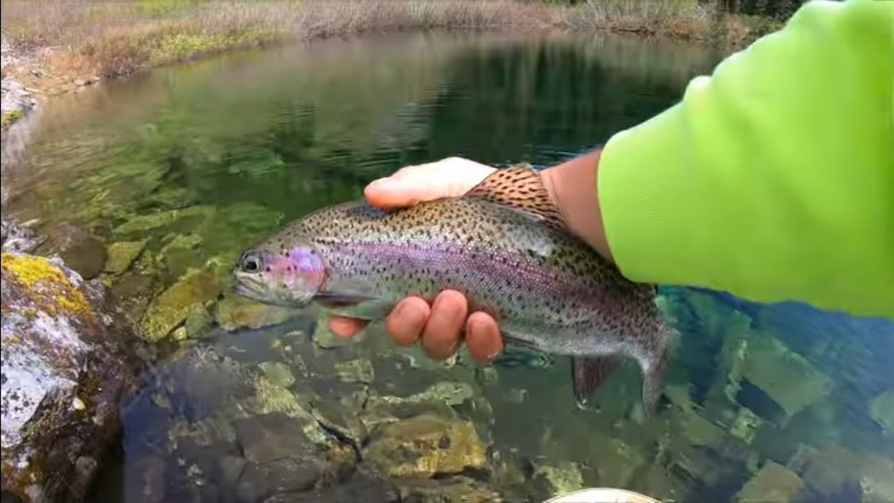 Alpine Trout Fishing In Remote North Cascades