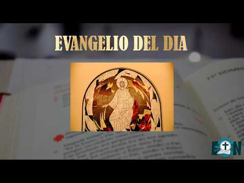 EVANGELIO  20  DE  JULIO  2026