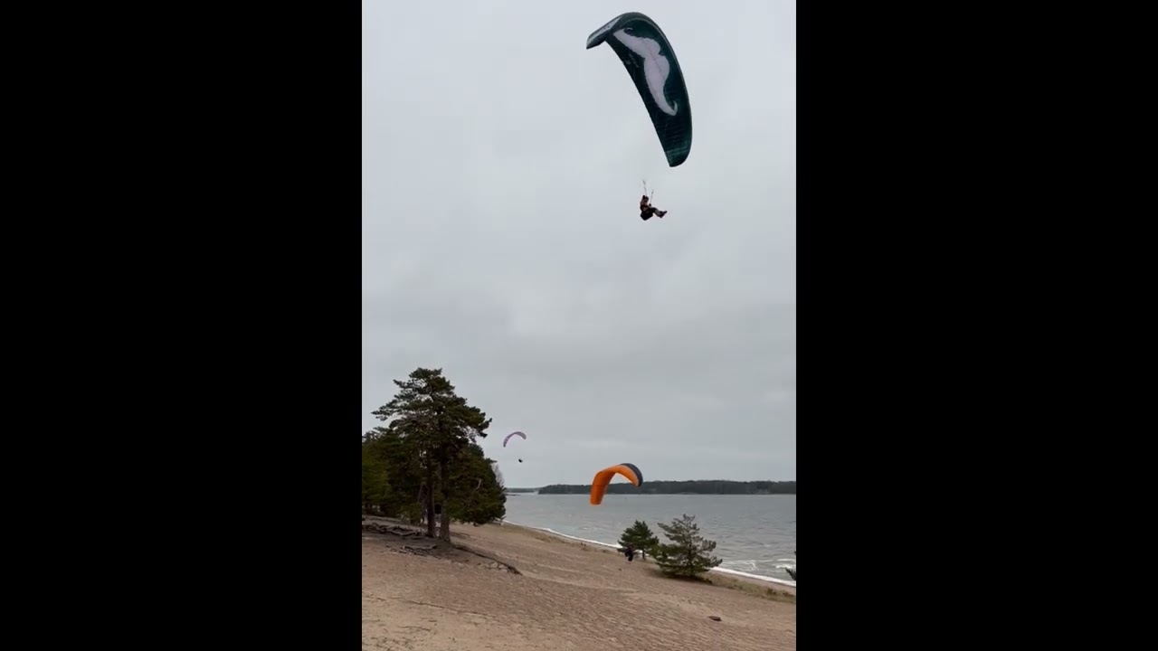 Varjoliitoa Lappohjassa 8.2.2025