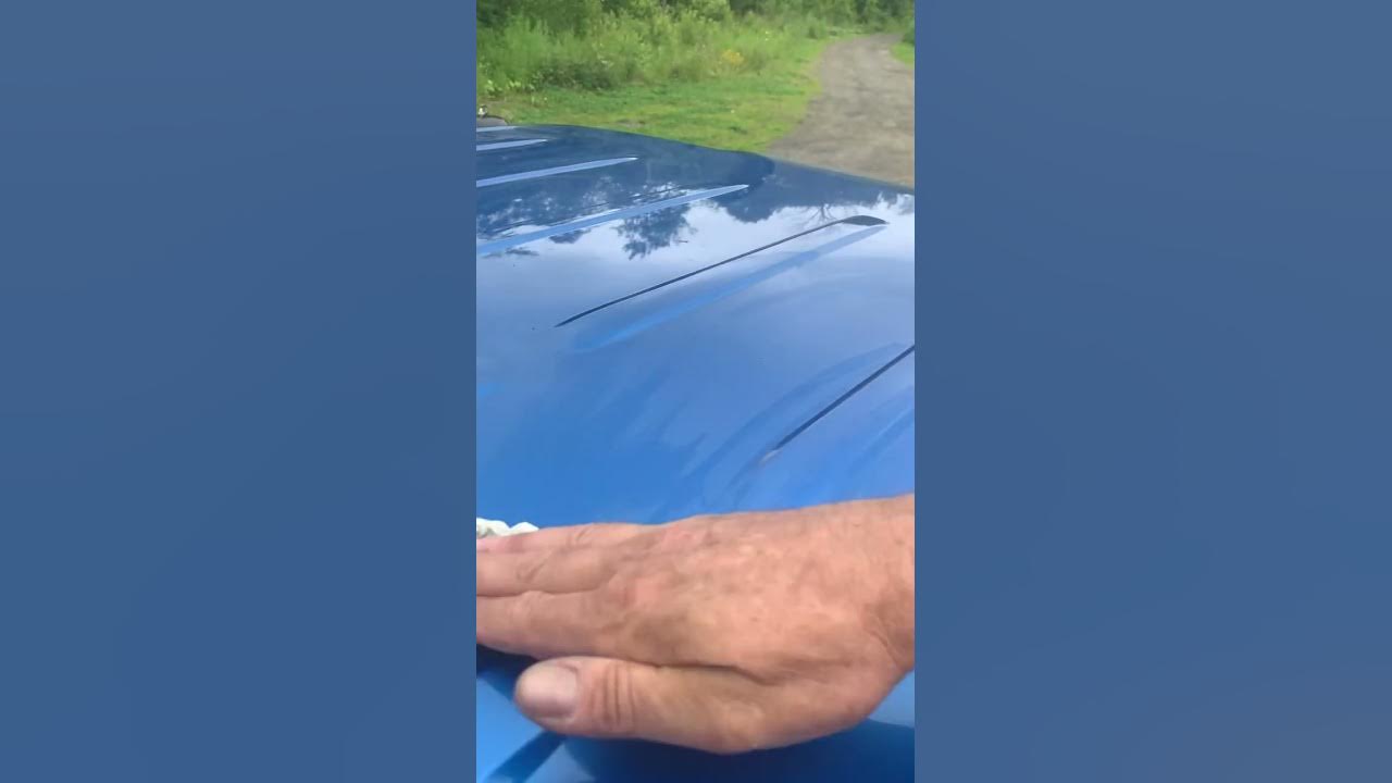 How to remove tree sap fast and easy. YouTube