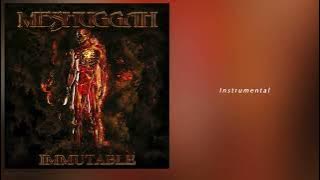 Meshuggah - Past Tense