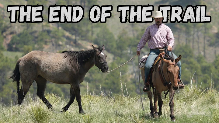 How to Overcome Life's Unexpected Challenges