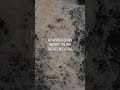 zach bryan, kacey musgraves - i remember everything (lyrics)