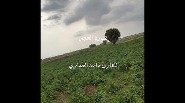سورة الحجر || للقارئ ماجد العماري