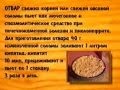 6. Лечебные растения ноготки, мята, облепиха и овёс посевной.