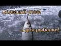 Большой улов! 2 дня рыбалки!