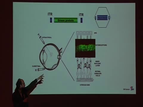 Vídeo: Avenços En Medicina Veterinària: Teràpia Gènica Per A Malalties De La Retina