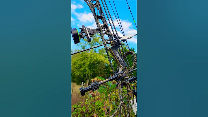 NEW Mathews LIFT in Mossy Oak BOTTOMLAND #Mathews #lift #newbow #shorts #deerhunter #dreambow