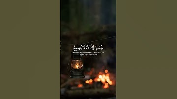 قران كريم    بصوت هادئ وجميل #للقارئ إسلام صبحي 🩵💚 #ملخص_المباراة #ملخص_المباراة #اهداف