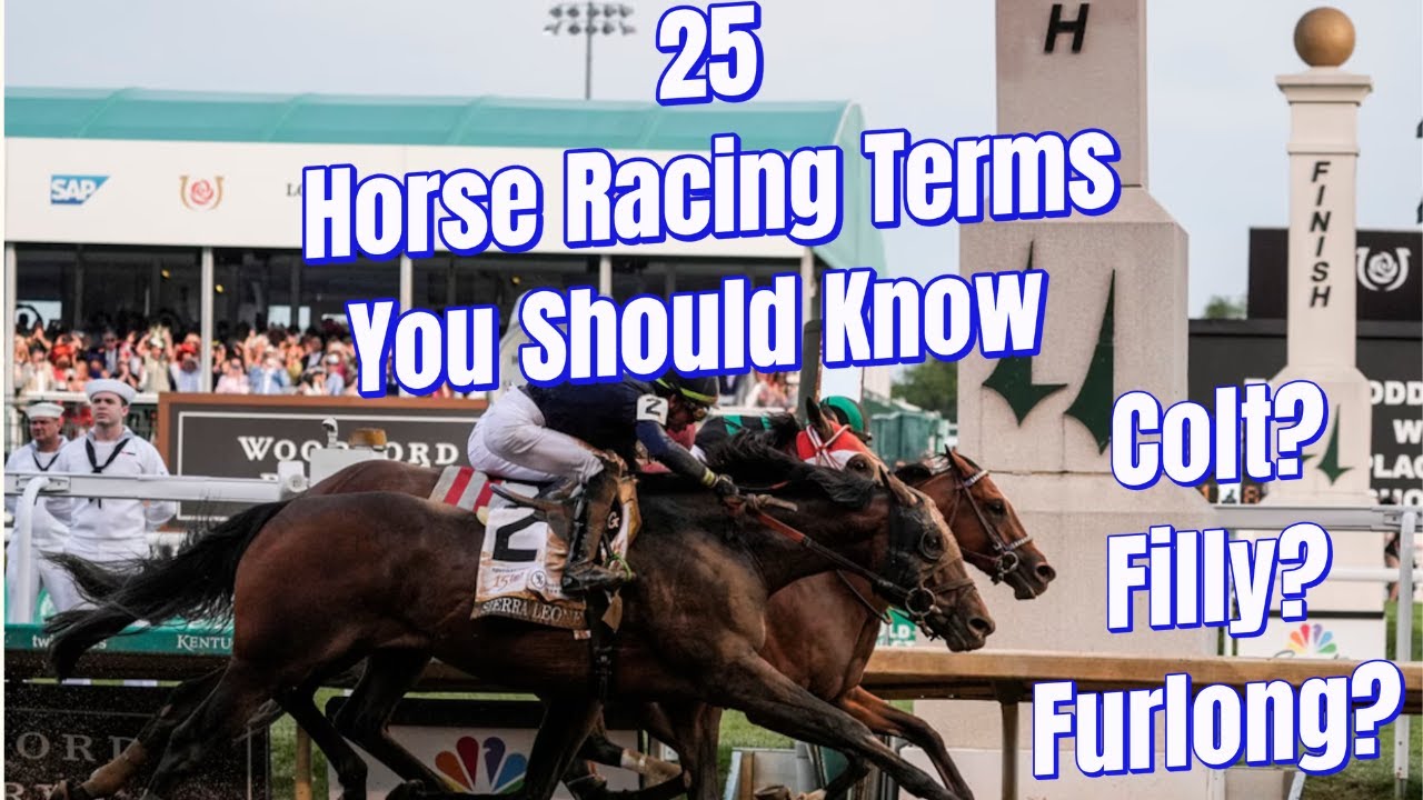 25 Horse Racing Terms You Should Know