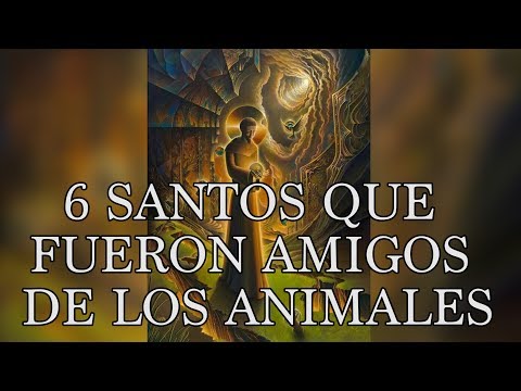 Video: ¿Quién es el santo que sostiene un pájaro?