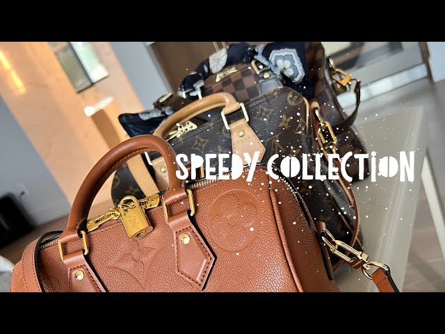 Louis Vuitton Monogram Canvas and Leather Speedy Doctor 25 Bag