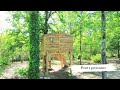 Ref:KSV7LmVx5Ak Les cabanes du roc - h�bergement insolite en dordogne (24)