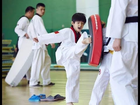 Why do parents let their children learn taekwondo instead of martial arts?
