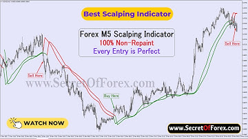Forex M5 Scalping Indicator | Forex Indicator | Every Entry is Perfect |