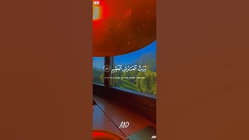 سورة المؤمنون القارئ #ياسر_الدوسري #فلسطين#السعودية#المغرب#مصر#الجزائر#تونس#ليبيا#موريتانيا#اكسبلور