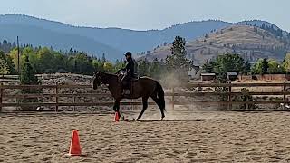 First lesson with a bit while ridden 