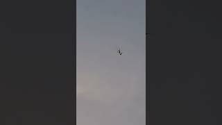 #nature #videos